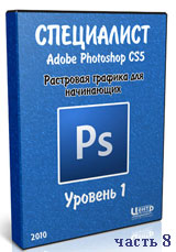 Уроки Photoshop. Растровая графика для начинающих ч.8 (видео онлайн)